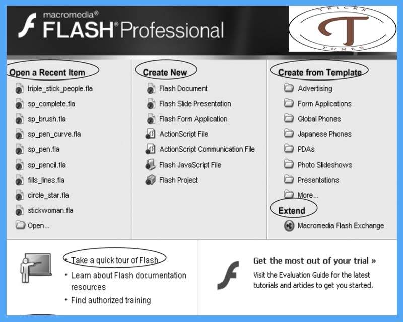 Flash Pages - Professional Pages in Minutes Information Review & Deal