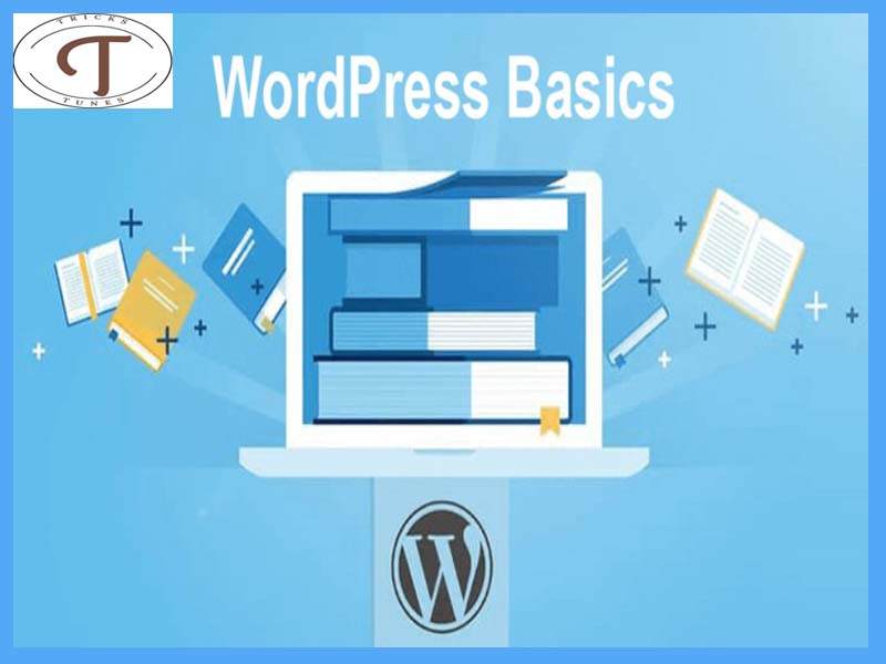 WordPress Basics - Tips & Tricks