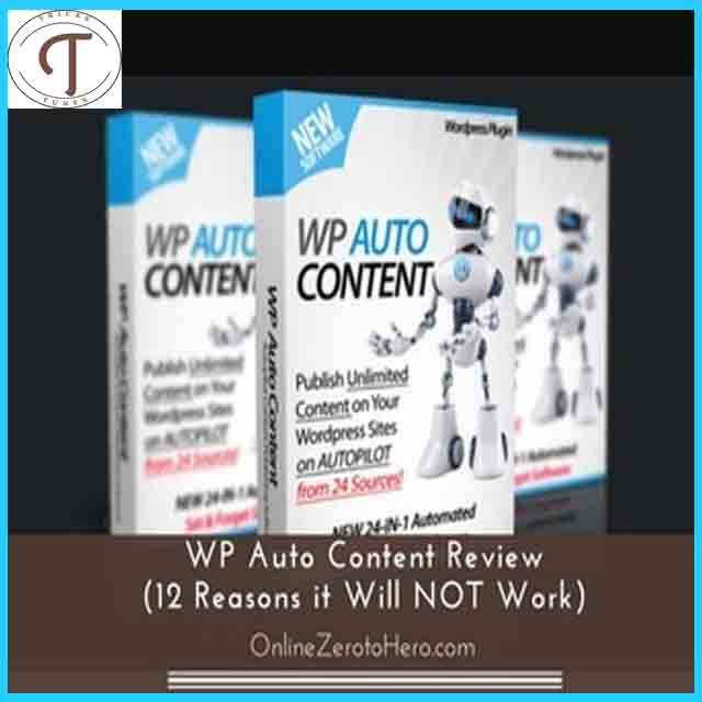 WP Auto Content - How Does It Works