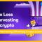 Tax Loss Harvesting Offsetting Crypto Losses